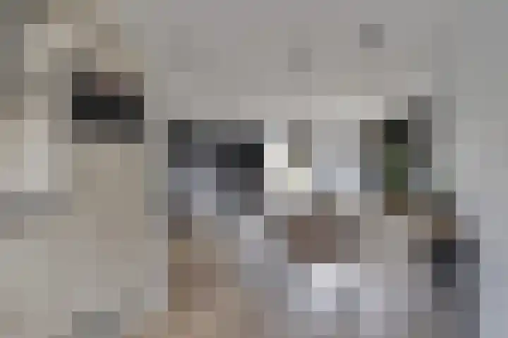 Marga Klompélaan 22 Zutphen thumbnail 10