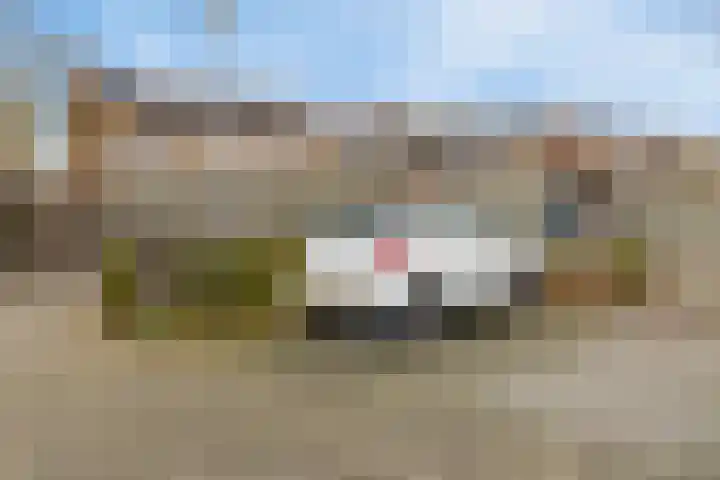 Marga Klompélaan 22 Zutphen thumbnail 33