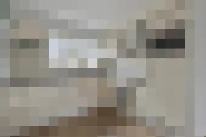 Marga Klompélaan 22 Zutphen thumbnail 8