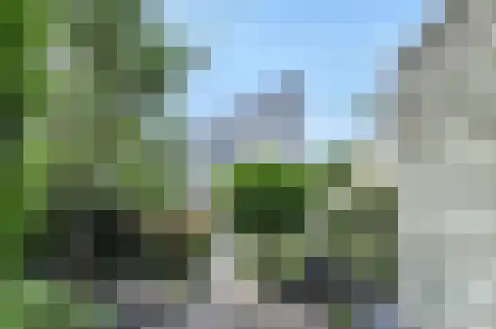 Marga Klompélaan 257 Arnhem thumbnail 37