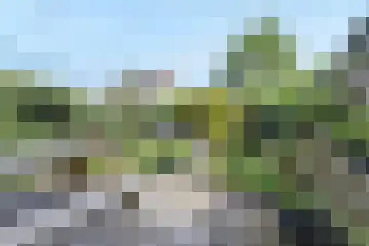 Marga Klompélaan 257 Arnhem thumbnail 39