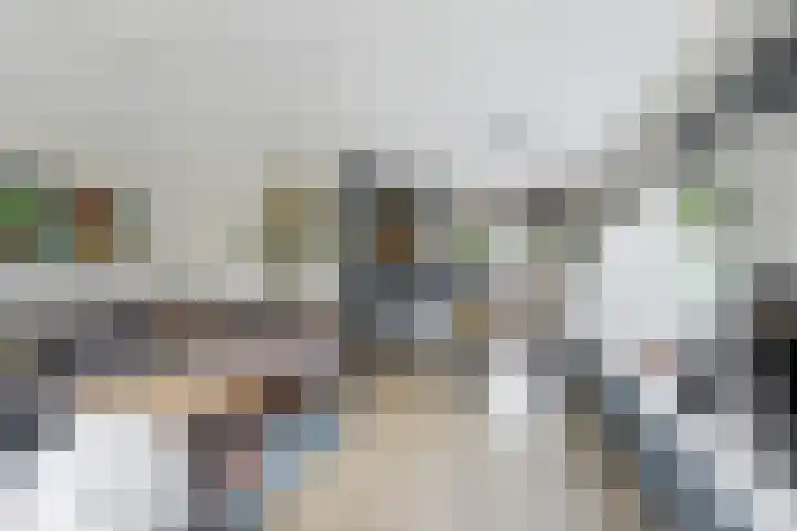Marga Klompélaan 257 Arnhem thumbnail 5