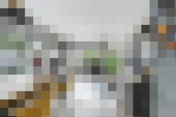 Marga Klompélaan 257 Arnhem thumbnail 7