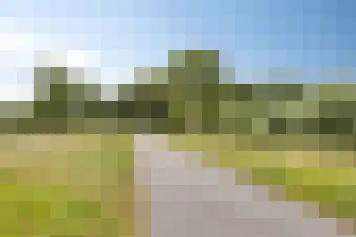Marga Klompélaan 28 Amsterdam thumbnail 34