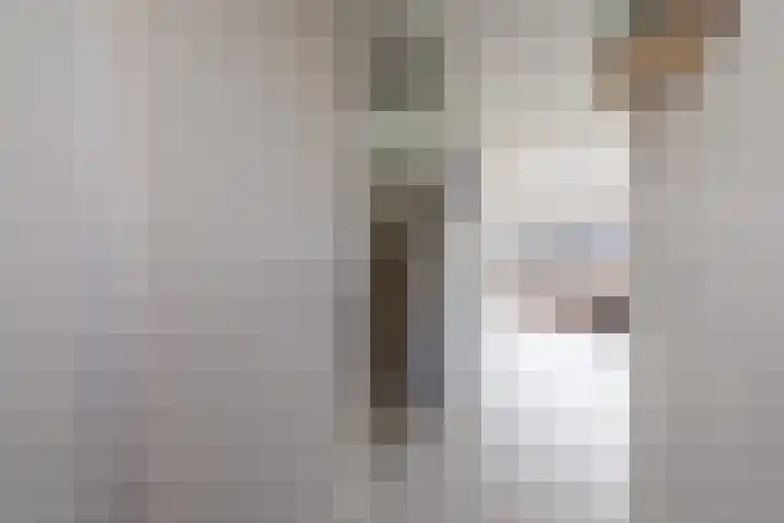 Marga Klompélaan 3 Amsterdam thumbnail 5