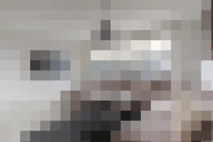 Marga Klompélaan 3 Amsterdam thumbnail 8