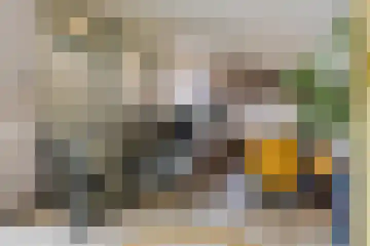Marga Klompélaan 33 Rijen thumbnail 18