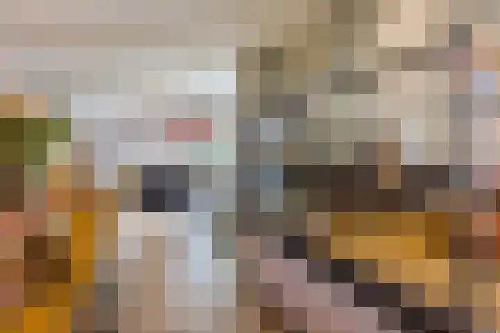Marga Klompélaan 33 Rijen thumbnail 20