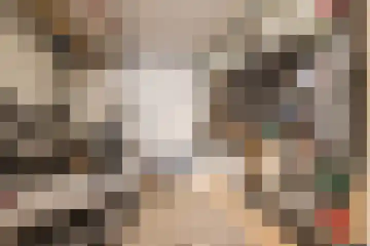 Marga Klompélaan 33 Rijen thumbnail 33