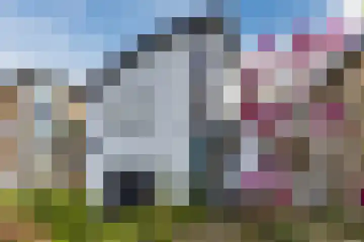 Marga Klompélaan 33 Rijen thumbnail 45