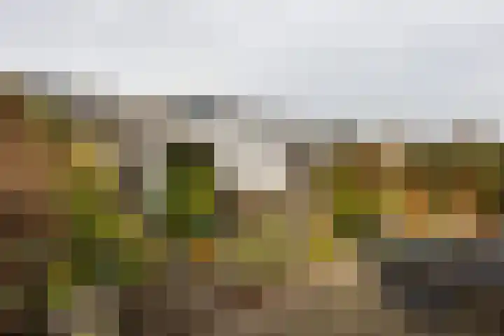 Marga Klompélaan 5 Amstelveen thumbnail 23