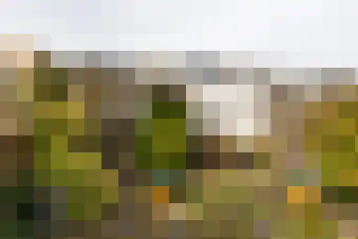 Marga Klompélaan 5 Amstelveen thumbnail 24