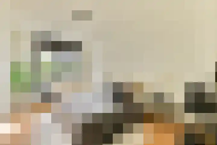Marga Klompélaan 60 Amsterdam thumbnail 19