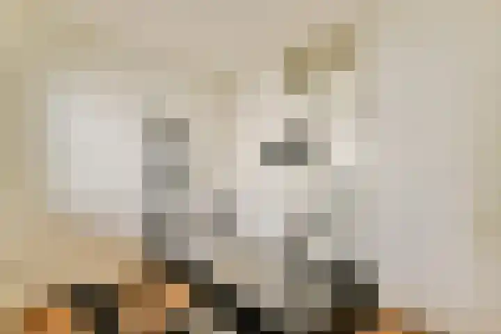 Marga Klompélaan 60 Amsterdam thumbnail 23