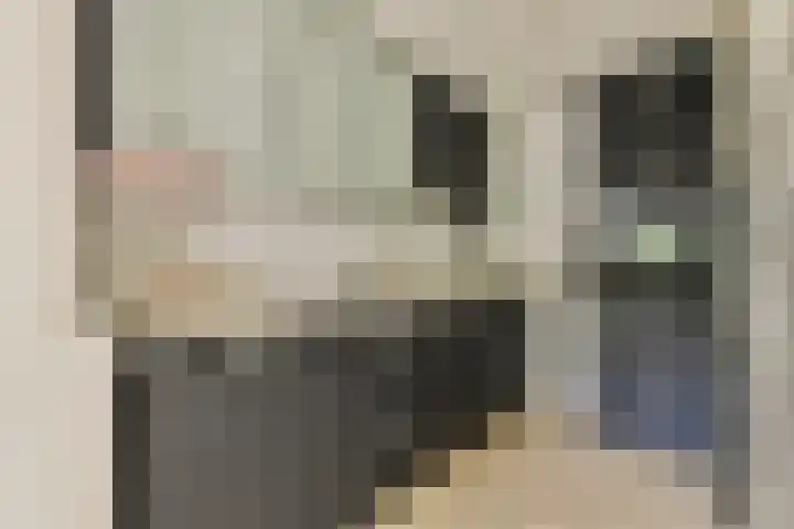 Marga Klompélaan 60 Amsterdam thumbnail 9