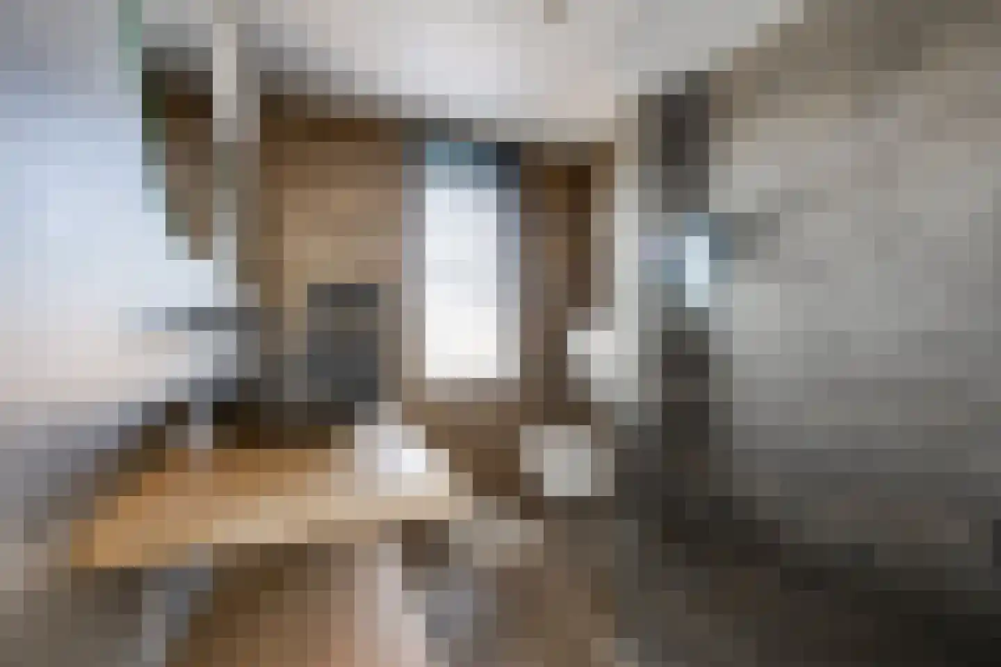 Marga Klompélaan 71 Rijen thumbnail 4