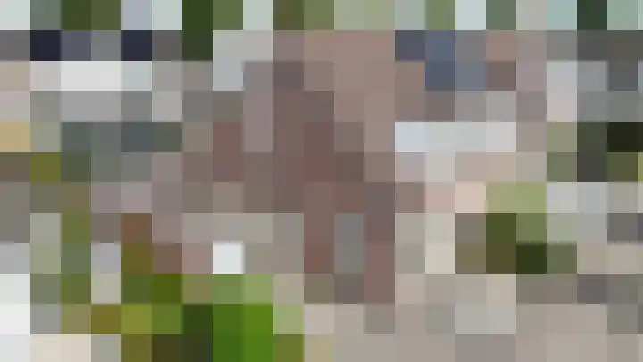 Marga Klompelaan 8 Vlissingen thumbnail 10