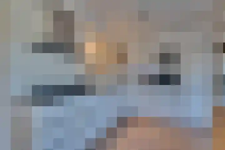 Marga Klompelaan 8 Vlissingen thumbnail 15