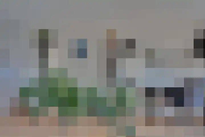 Marga Klompelaan 8 Vlissingen thumbnail 25