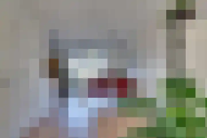 Marga Klompelaan 8 Vlissingen thumbnail 26