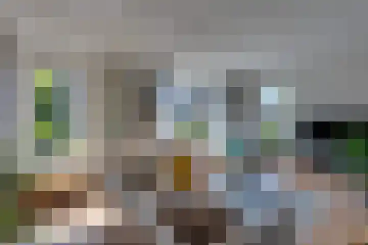 Marga Klompelaan 8 Vlissingen thumbnail 28