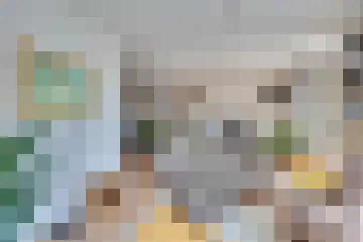 Marga Klompelaan 8 Vlissingen thumbnail 32