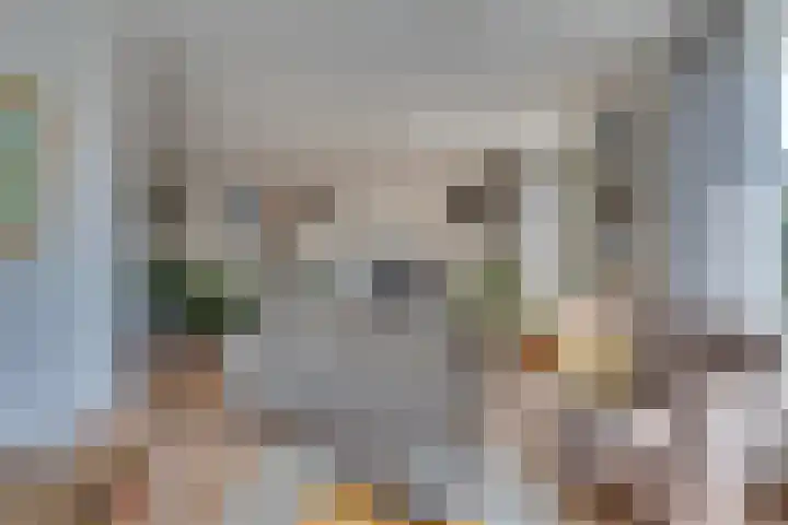 Marga Klompelaan 8 Vlissingen thumbnail 33