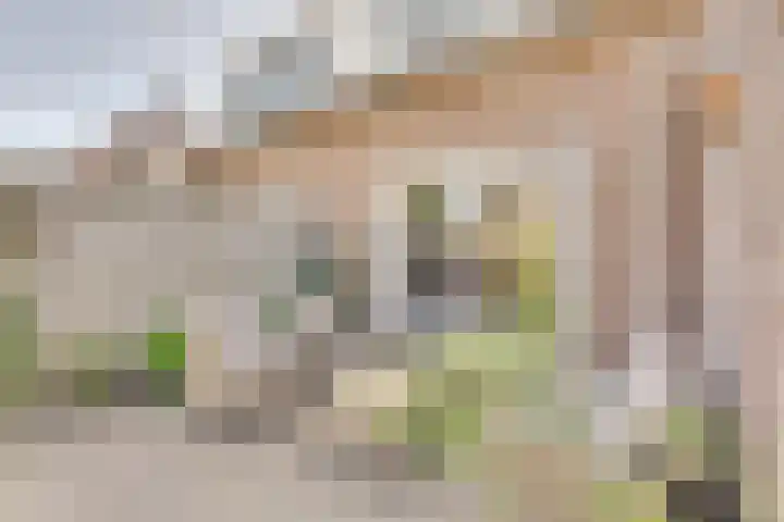 Marga Klompelaan 8 Vlissingen thumbnail 65