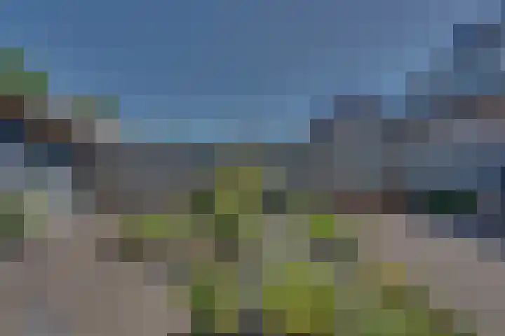 Marga Klompelaan 8 Vlissingen thumbnail 70
