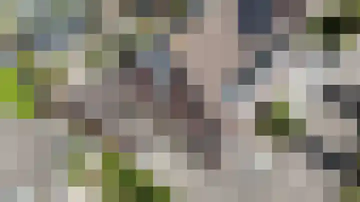 Marga Klompelaan 8 Vlissingen thumbnail 8