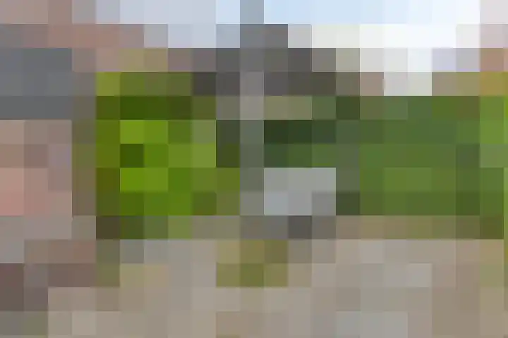 Marga Klompéland 13 Heerhugowaard thumbnail 43