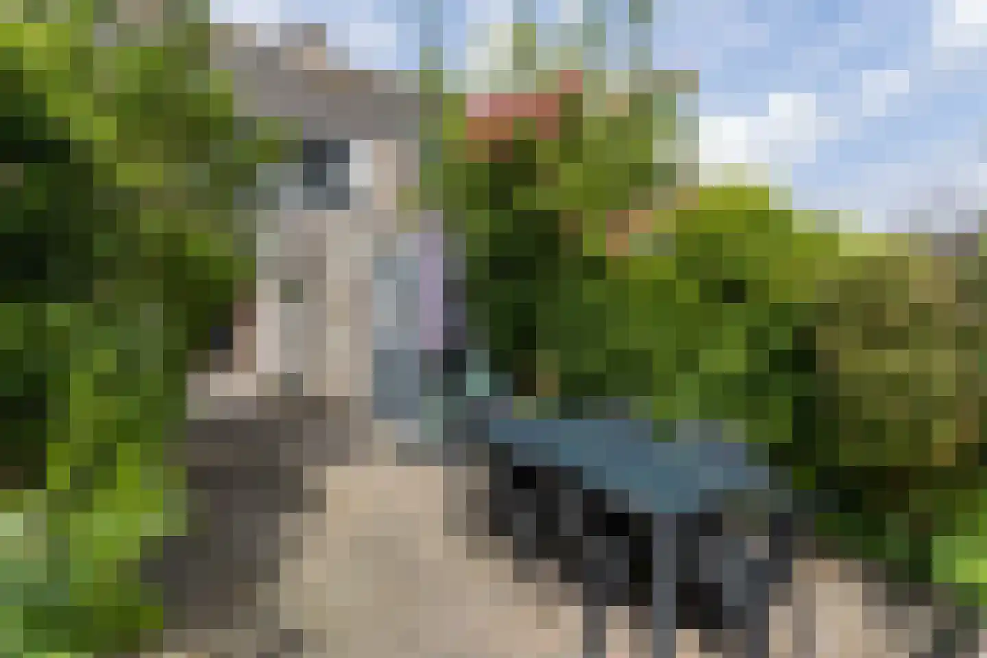 Marga Klompésingel 60 Hoofddorp thumbnail 45