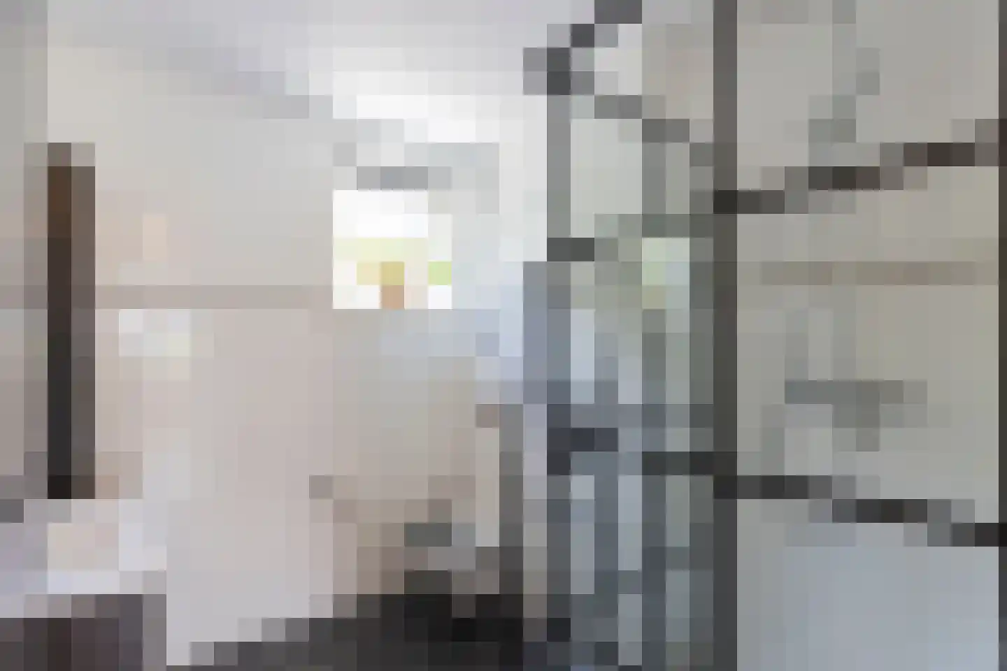 Marga Klompésingel 60 Hoofddorp thumbnail 5