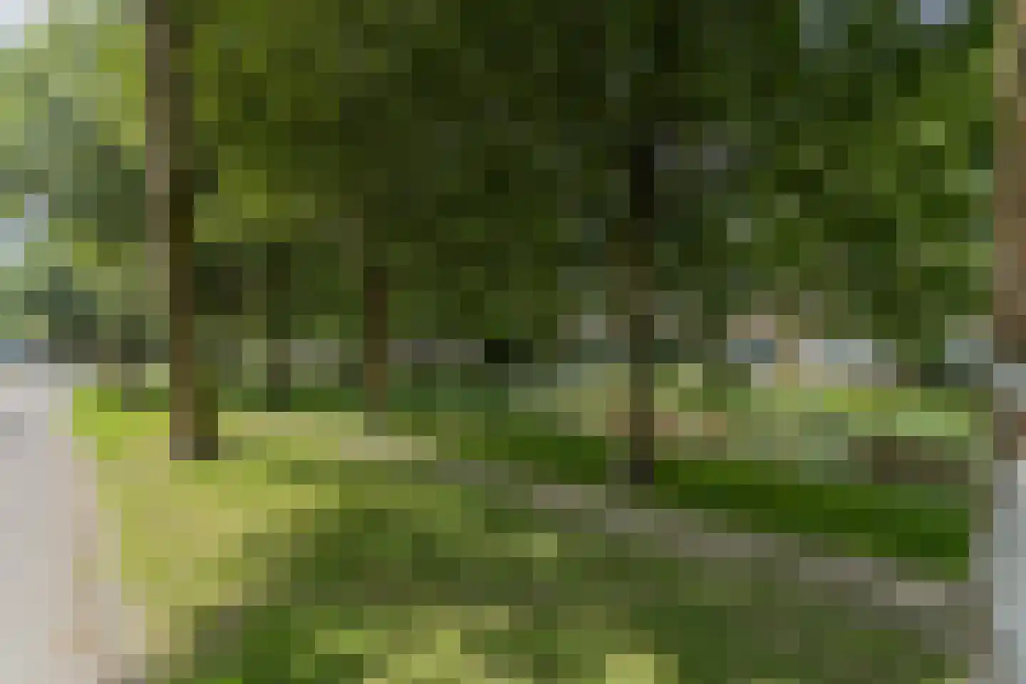 Marga Klompésingel 60 Hoofddorp thumbnail 56