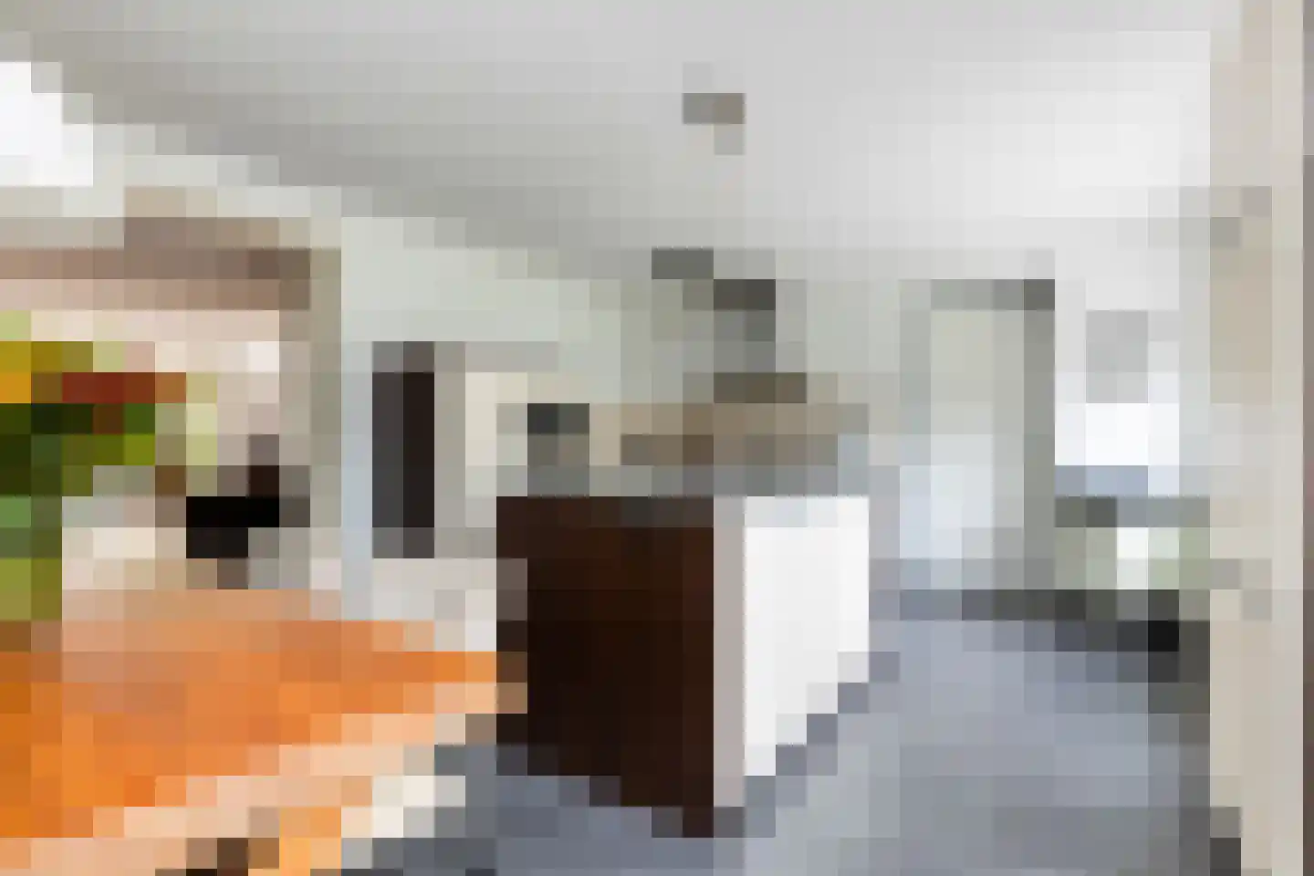 Marga Klompéstraat 10 Wezep thumbnail 25