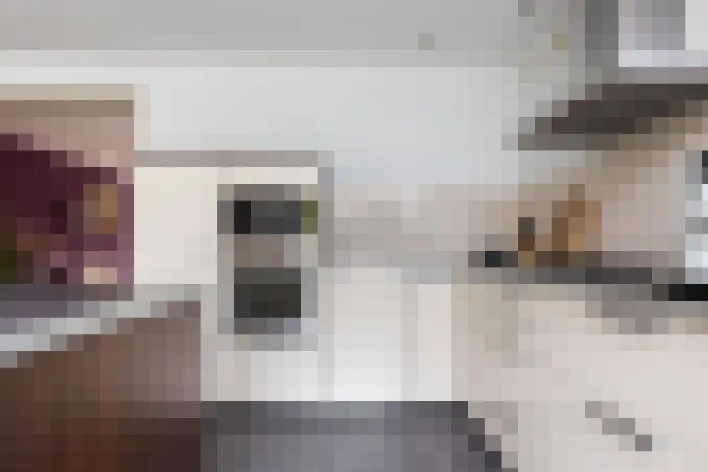 Marga Klompéstraat 10 Wezep thumbnail 27