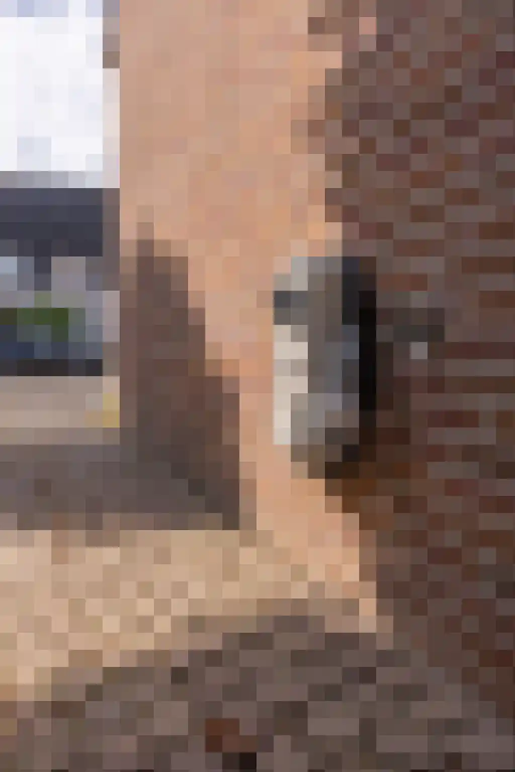Marga Klompéstraat 15 Waalwijk thumbnail 6