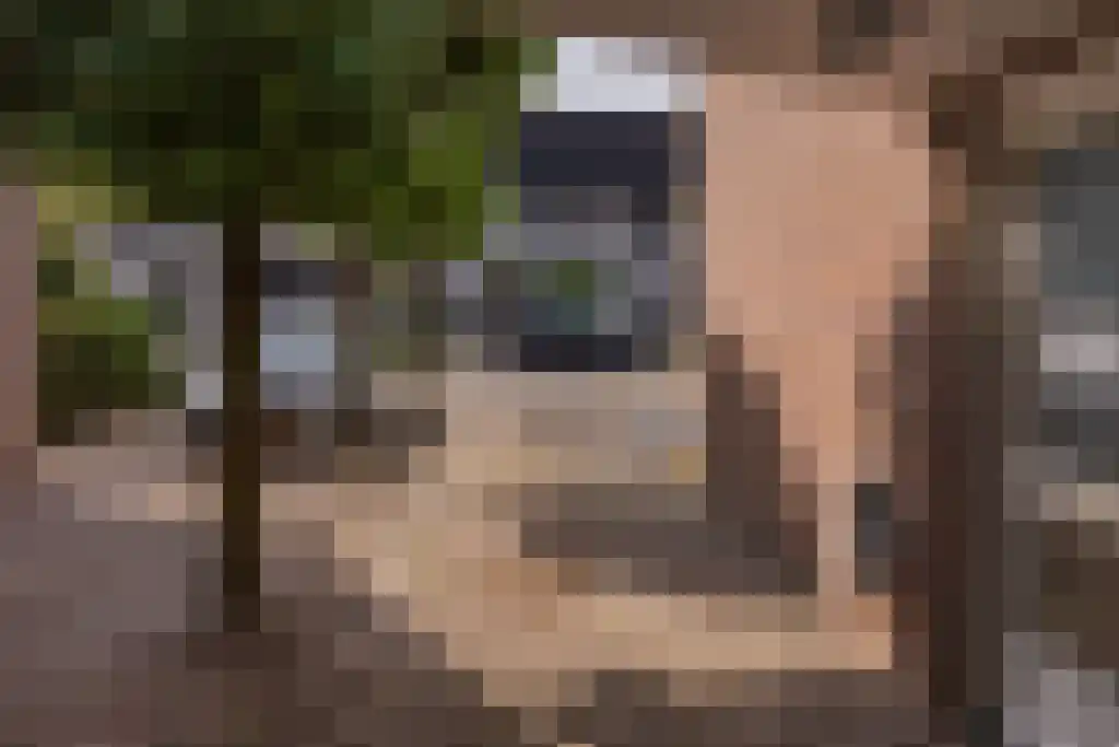 Marga Klompéstraat 15 Waalwijk thumbnail 7