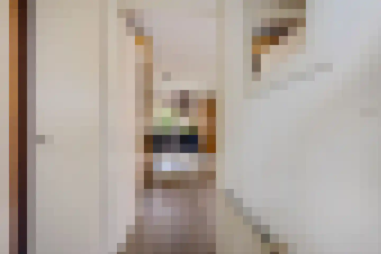 Marga Klompéstraat 20 Vianen thumbnail 9