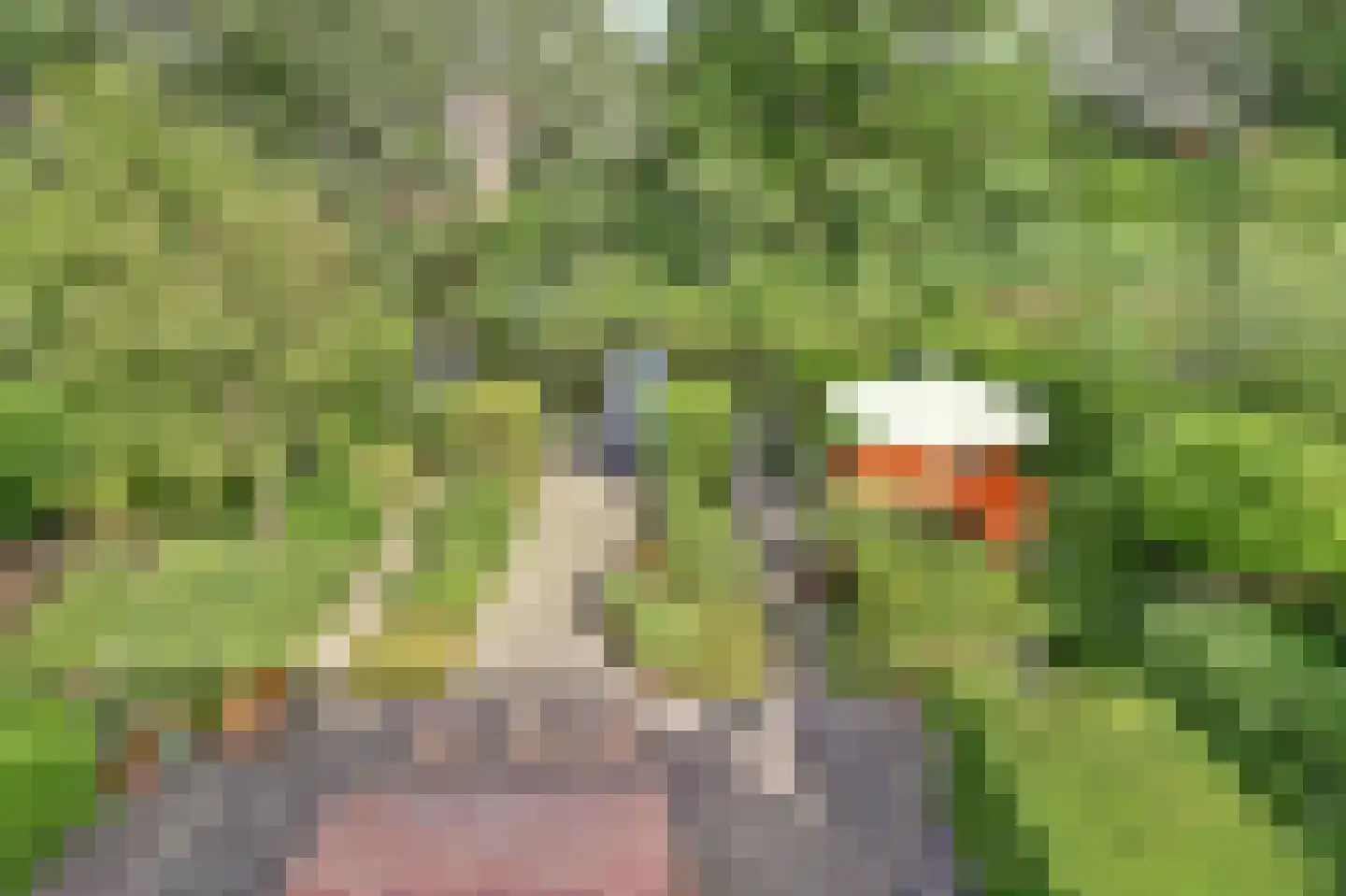 Marga Klompéstraat 21 Gouda thumbnail 54