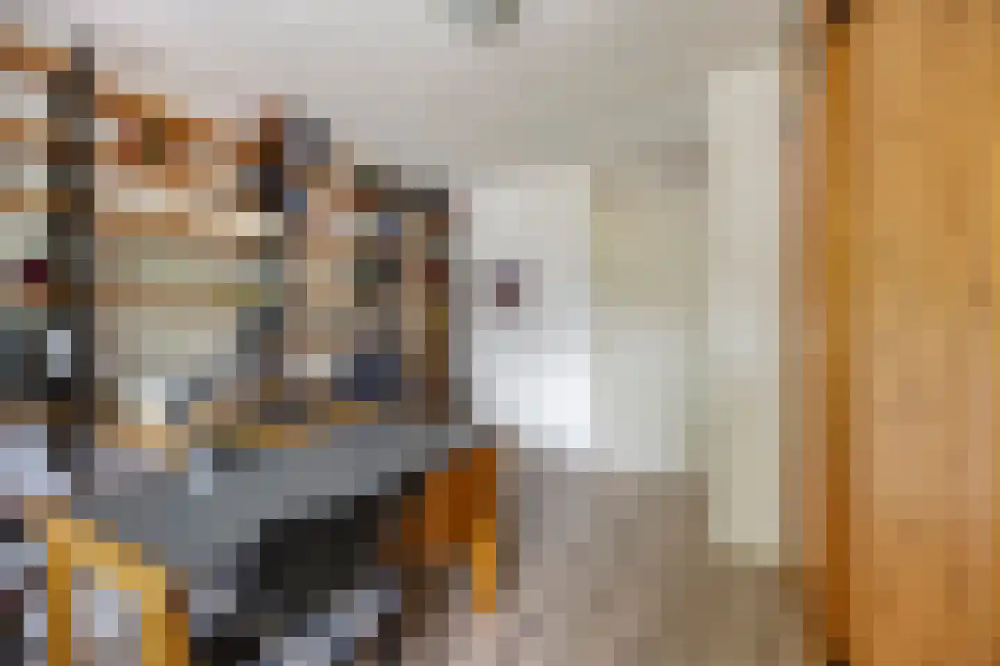 Marga Klompéstraat 3 Purmerend thumbnail 21
