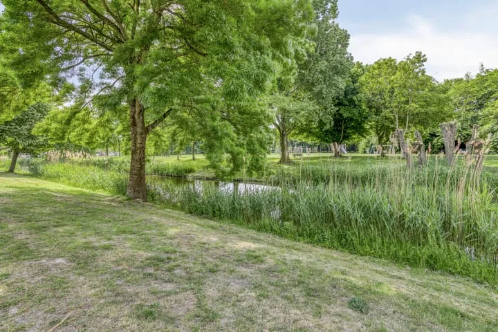 Marga Klompéstraat 31 Alphen aan den Rijn foto 2
