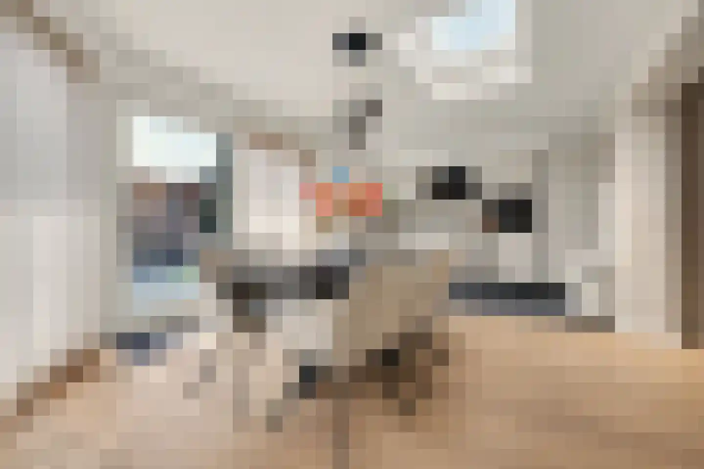 Marga Klompéstraat 31 Waalwijk thumbnail 4
