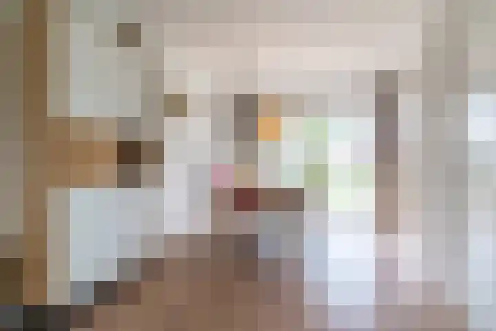 Marga Klompéstraat 41 Waalwijk thumbnail 6