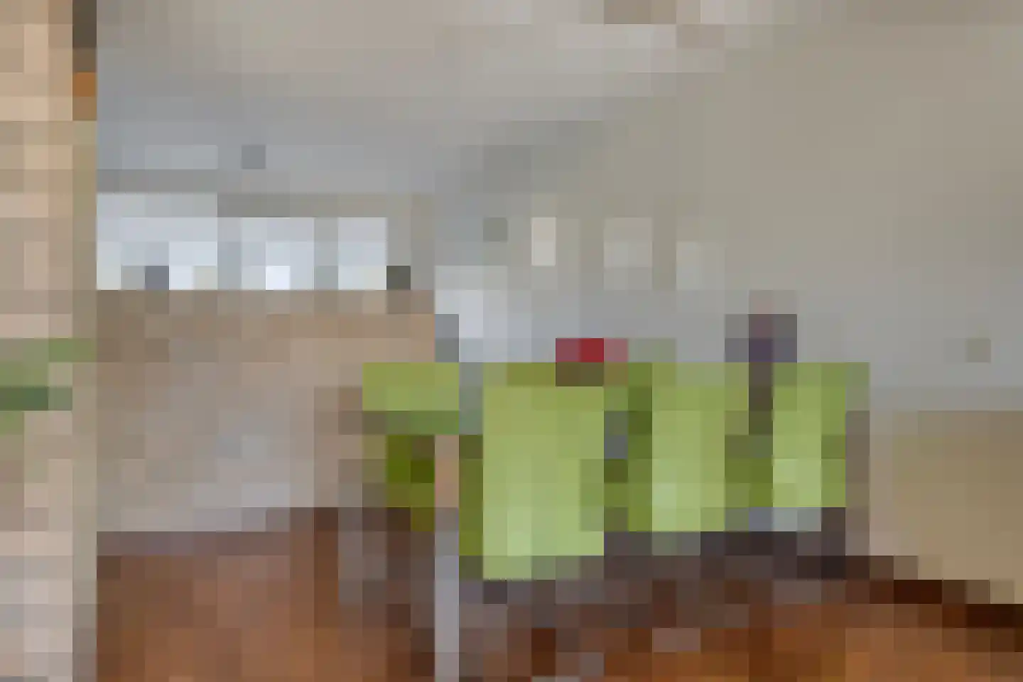 Marga Klompéstraat 67 Spijkenisse thumbnail 15