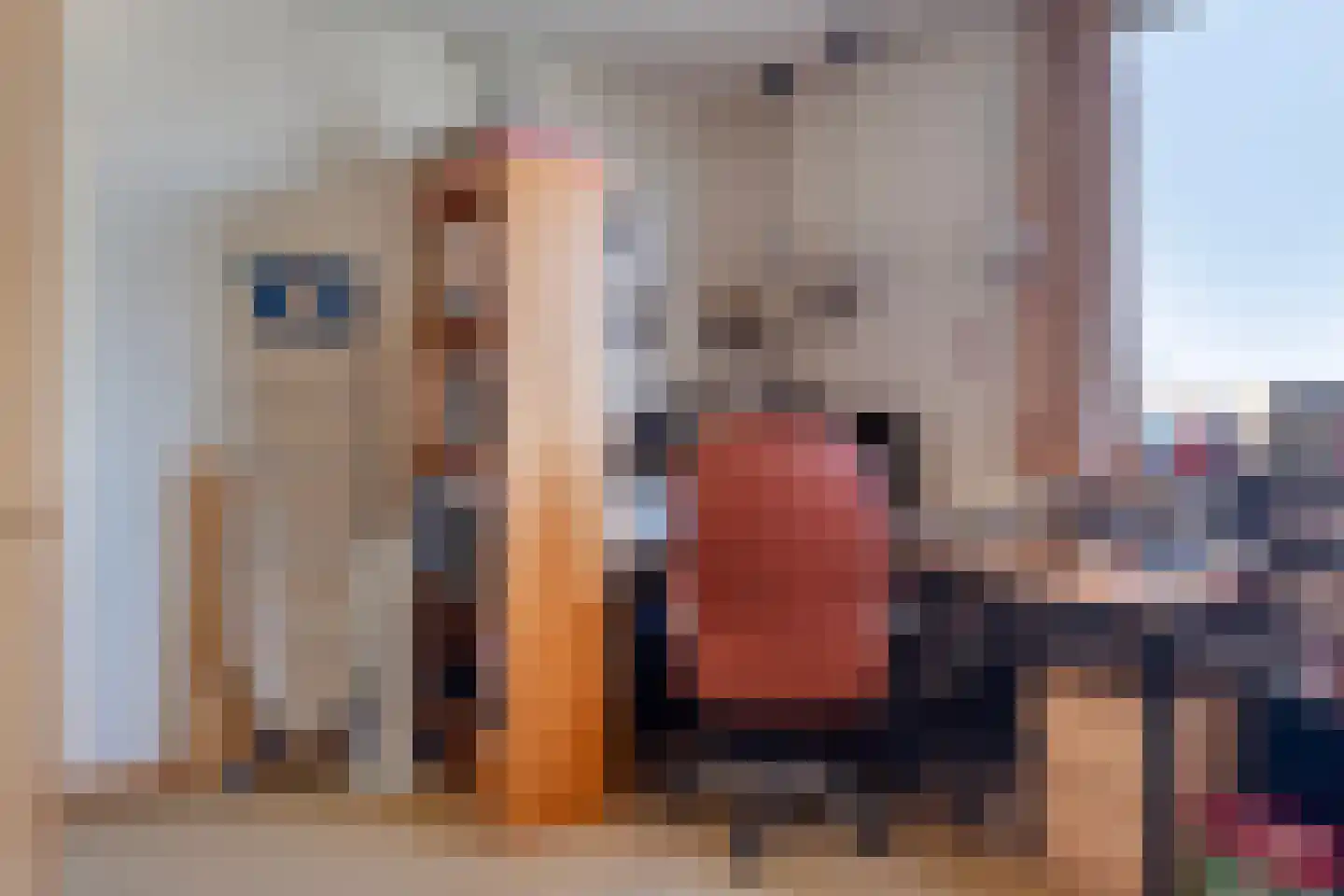 Marga Klompéstraat 67 Spijkenisse thumbnail 28
