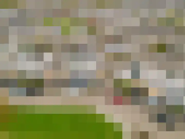 Marga Klompéstraat 75 Spijkenisse thumbnail 5