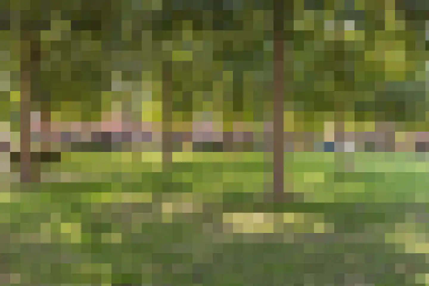 Margaret Staalplantsoen 41 Heerhugowaard thumbnail 36