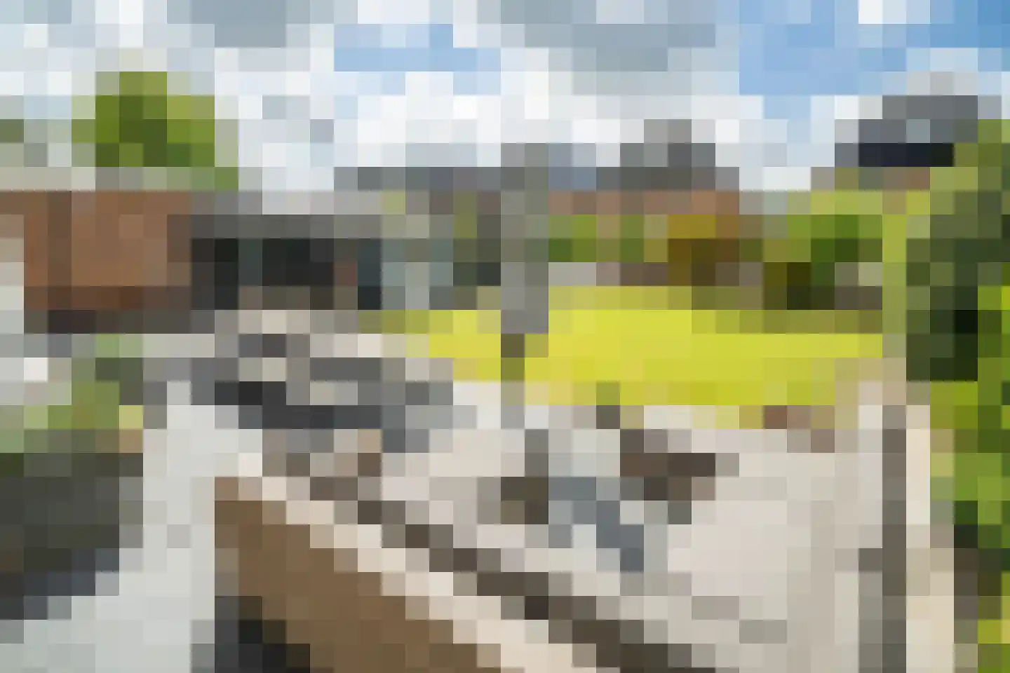 Margaretha Fergusonhof 9 Voorschoten thumbnail 23