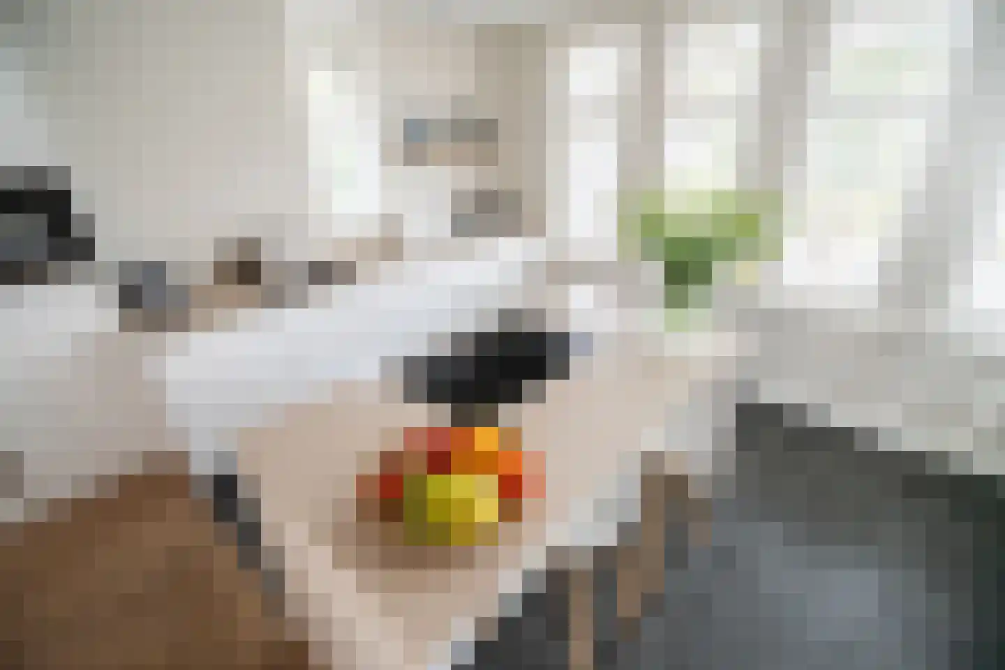 Margaretha Fergusonhof 9 Voorschoten thumbnail 50